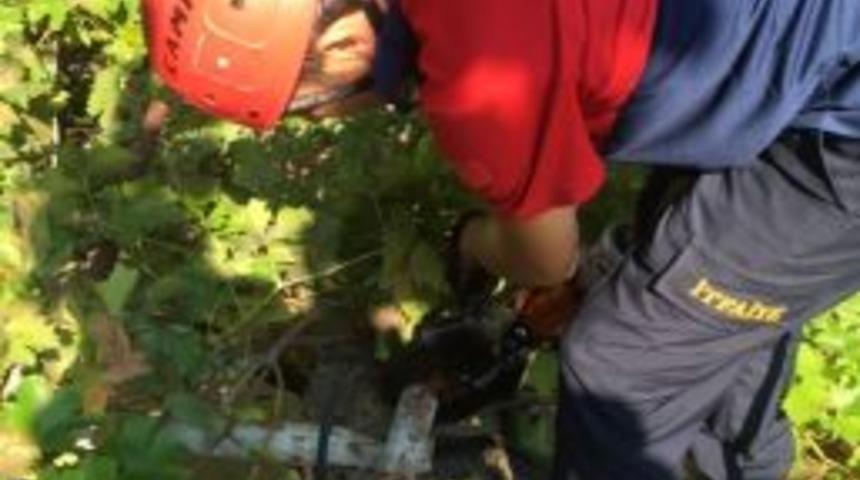 Kafası Boruya Sıkışan Kediyi İtfaiye Kurtardı