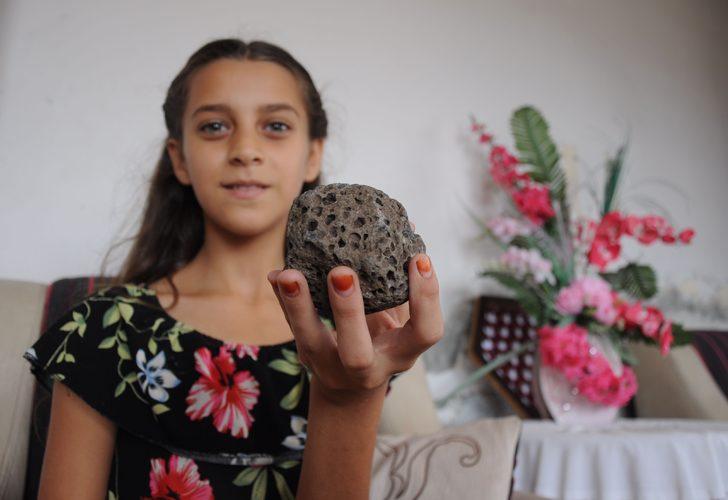 Deniz kenarında bulup eve getirdi, ne olduğunu öğrenince şaşkına döndü G1