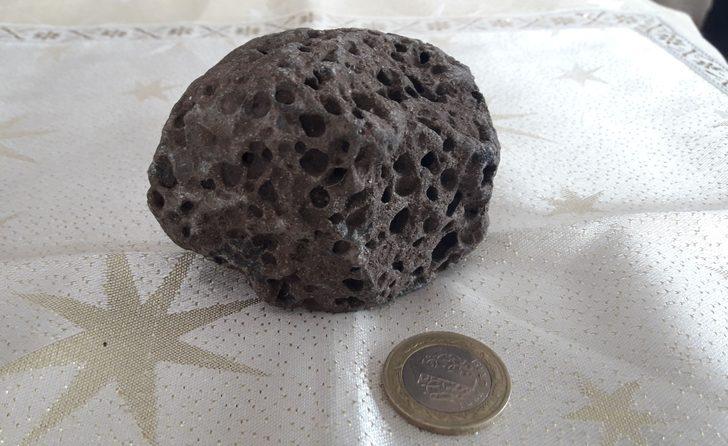 Deniz kenarında bulup eve getirdi, ne olduğunu öğrenince şaşkına döndü G3