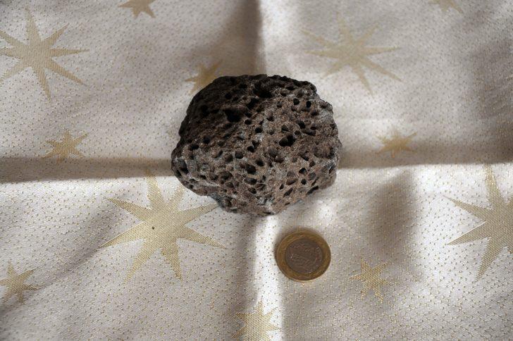 Deniz kenarında bulup eve getirdi, ne olduğunu öğrenince şaşkına döndü G5