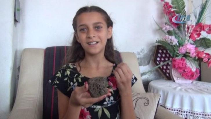 Deniz kenarında bulup eve getirdi, ne olduğunu öğrenince şaşkına döndü G2