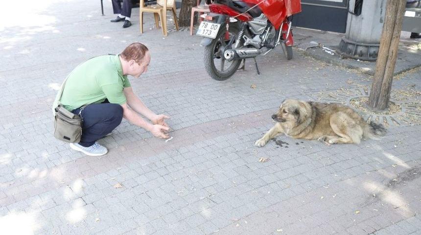 (&ouml;zel) &Uuml;&ccedil; Ayağıyla Caddelerin Maskotu Oldu