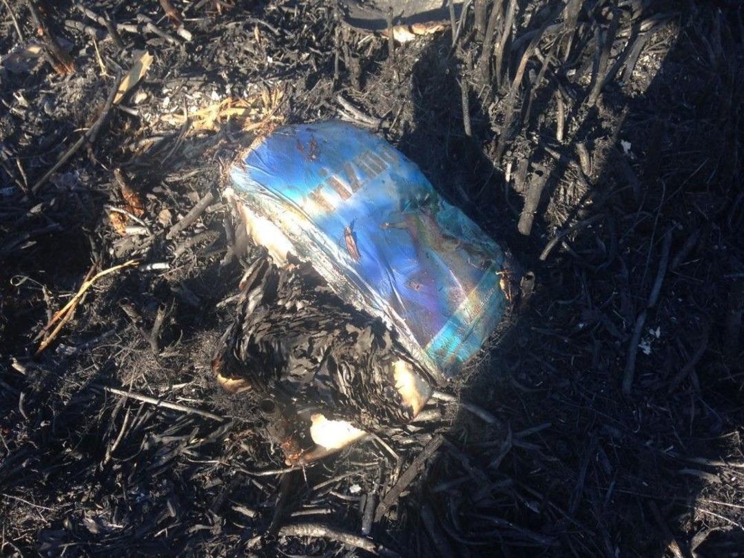 Mogan G&ouml;l&uuml; Yangınında Fet&ouml; İzi