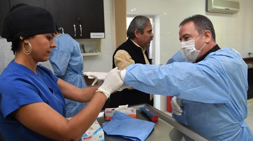 Başkan B&ouml;cek, Barınakta Ameliyat İzledi