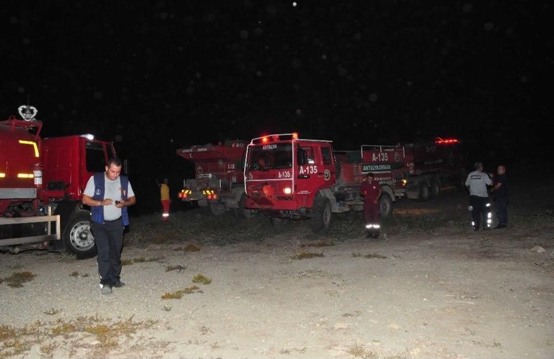 Antalya&rsquo;da Defineciler Ormanı Yaktı