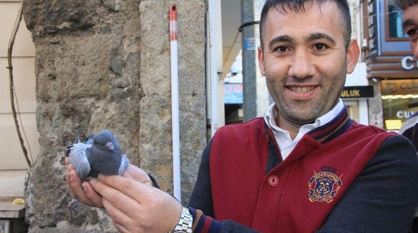 Samsun’da Güvercin Kurtarma Operasyonu