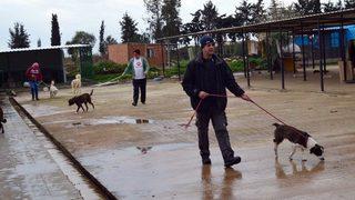 Didim’de Hayırseverlerden Hayvan Barınağına Destek