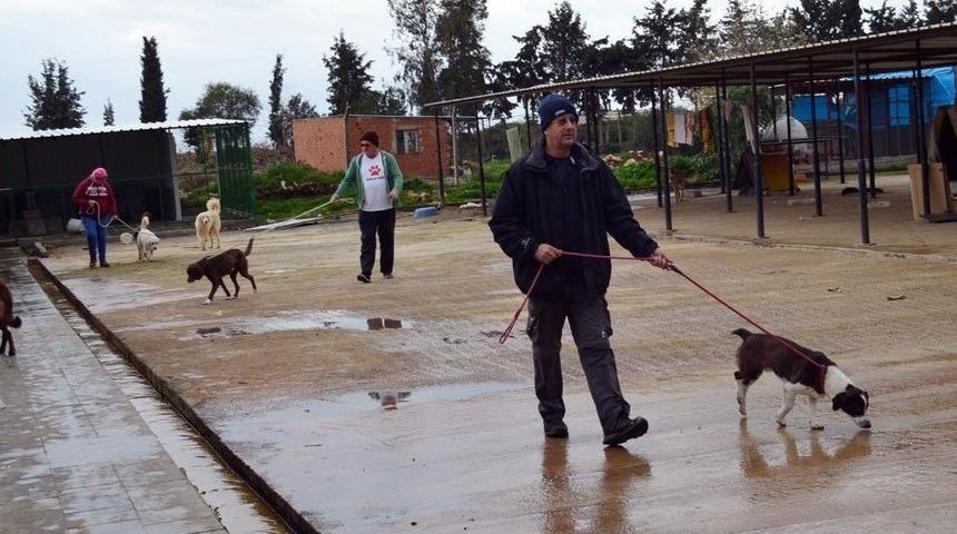 Didim’de Hayırseverlerden Hayvan Barınağına Destek