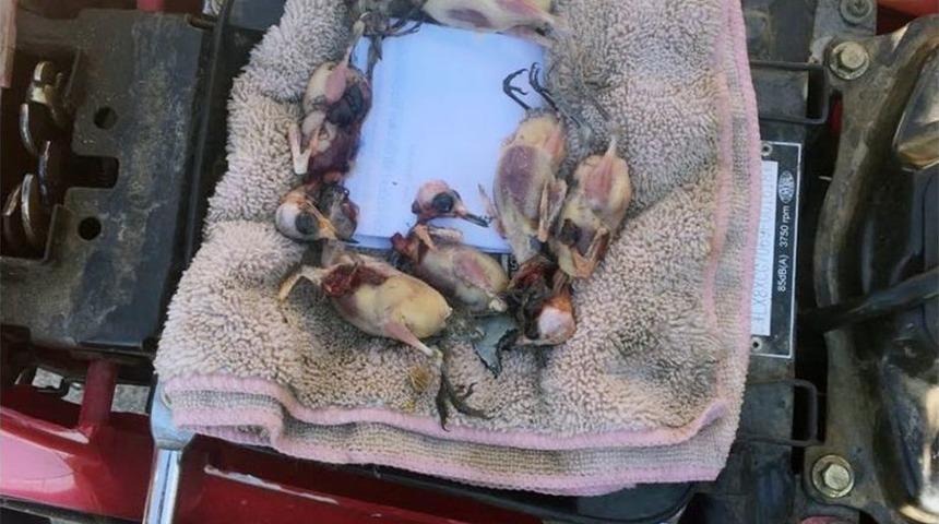 Milas&rsquo;ta Ka&ccedil;ak Avlanmaya Ceza Yağdı