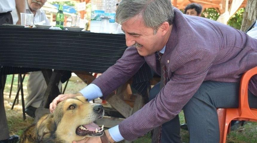 Hayvan Barınağına Destek İ&ccedil;in Bağışlı Yoga Seansı