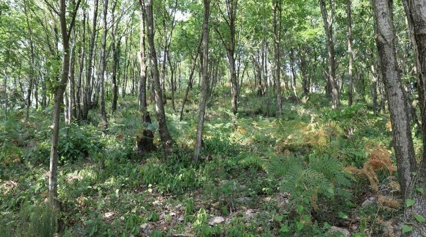 &Ccedil;erkezler Tepesi A Tipi Mesire Alanına Kavuşuyor