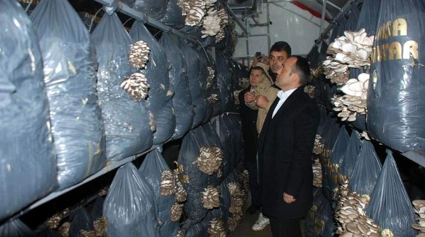 Mudanyalı Gen&ccedil; &Ccedil;ift&ccedil;ilere Destek