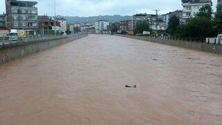 Sel Bu Kez Ünye’yi Vurdu
