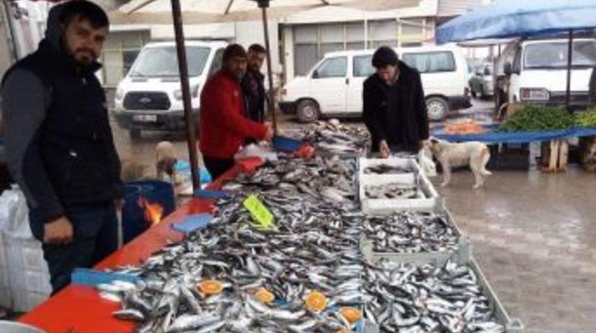 Hamsi 10 Tl&rsquo;ye Kadar D&uuml;şt&uuml;