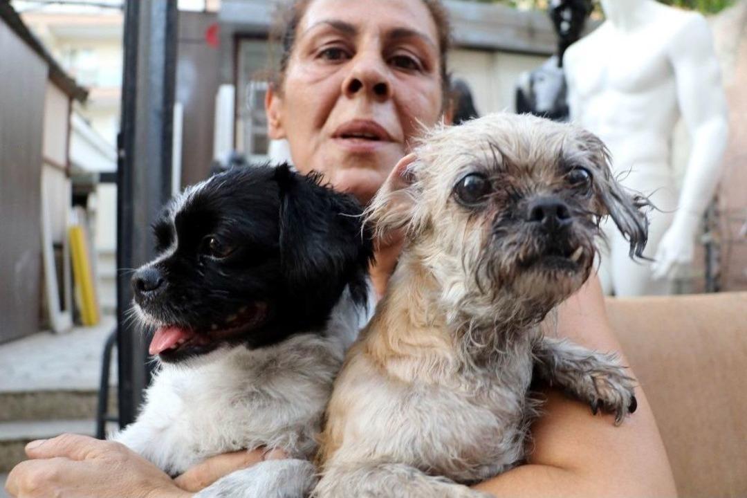 Kedi, K&ouml;pek Ve Papağanlar Yanmaktan Son Anda Kurtarıldı