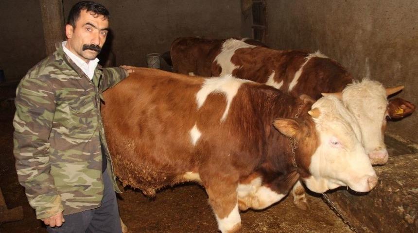 &rsquo;ayyıldız&rsquo;a 50 Bin Lira Verdiler Satmadı