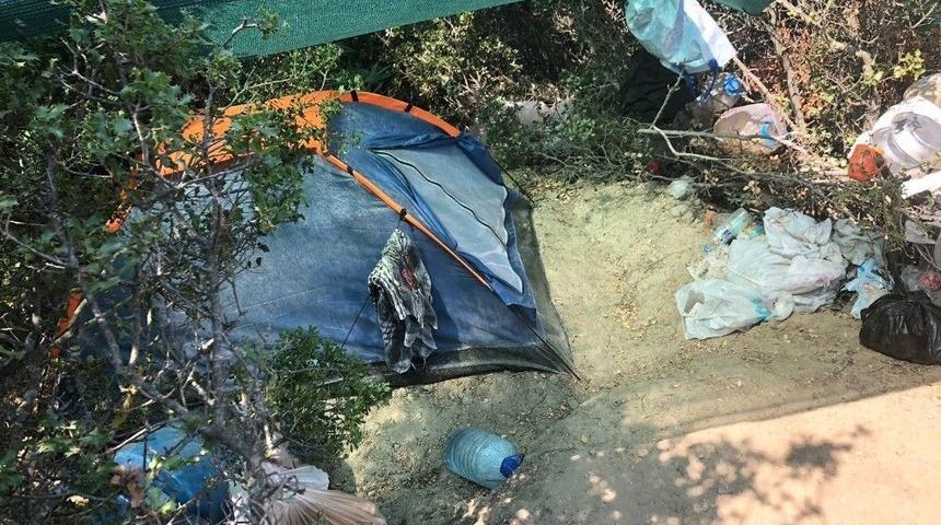 Kenevirler Uyuşturucuya Dönüştürülmeden Yakalandı