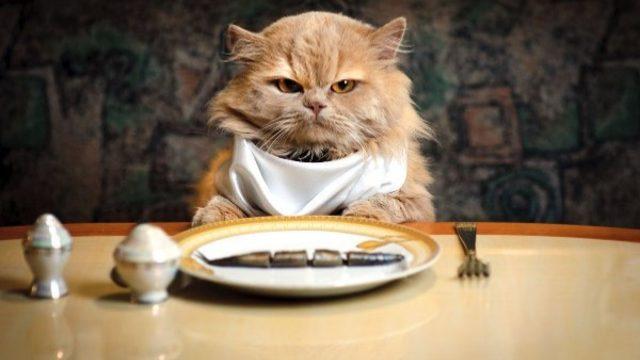 Neden Dışarıda Tek Başınıza Yemek Yemeye Gitmelisiniz?