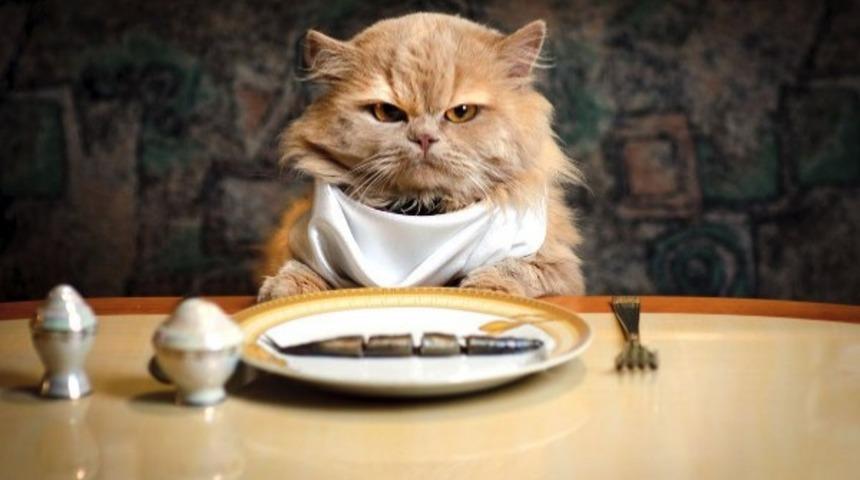 Neden Dışarıda Tek Başınıza Yemek Yemeye Gitmelisiniz?