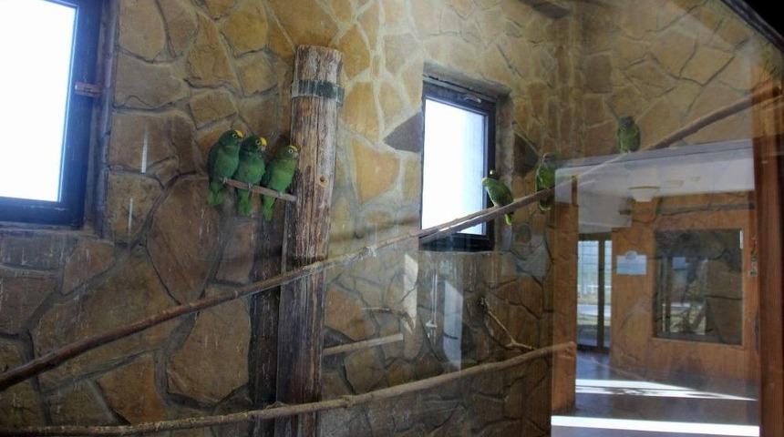 (&ouml;zel Haber) Anadolu Harikalar Diyarı Hayvanat Bah&ccedil;esi &Ccedil;etin Kış Şartlarına Hazır