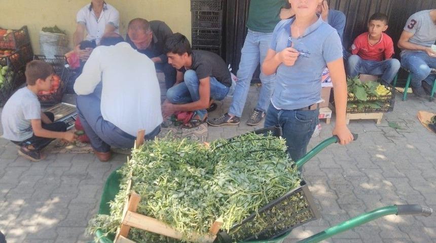 İncir Ve Semiz Otu Satarak Ailelerinin Ge&ccedil;imine Katkı Sağlıyorlar