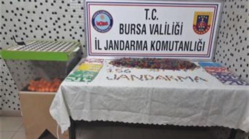 Jandarmadan Kumar Oynanan Derneğe Operasyon