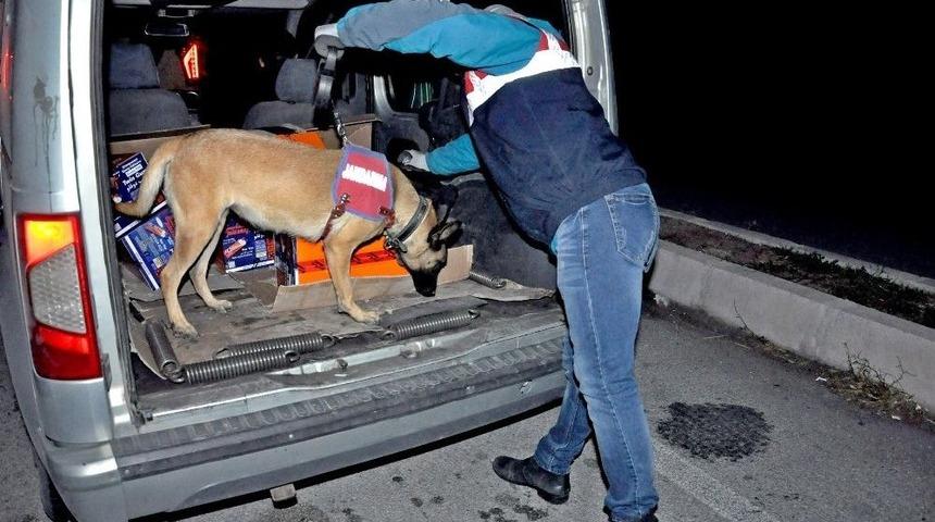Sungurlu&rsquo;da Jandarma Ekipleri Su&ccedil;lulara G&ouml;z A&ccedil;tırmıyor
