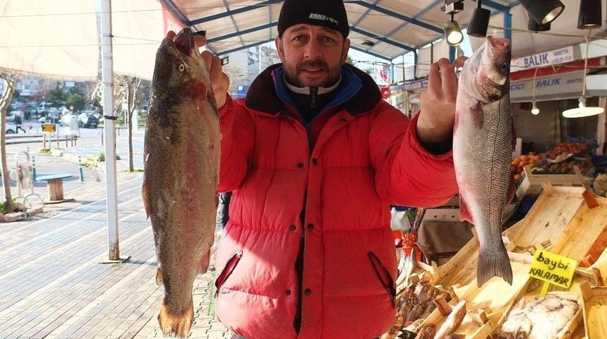 Tezgahlar Boşaldı, Balık Zamlandı