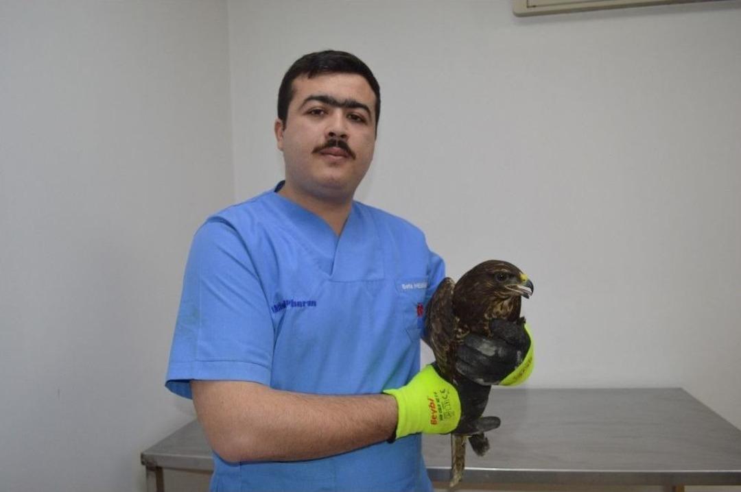 (&ouml;zel) K&ouml;peklerin Enkazdan Ayrılmaması, Adeta Katliamı Anlatmış