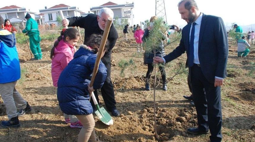 İzmit&rsquo;te Kafkaslar İ&ccedil;in Hatıra Ormanı