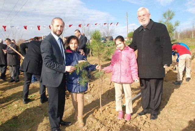 İzmit’te Kafkaslar İçin Hatıra Ormanı