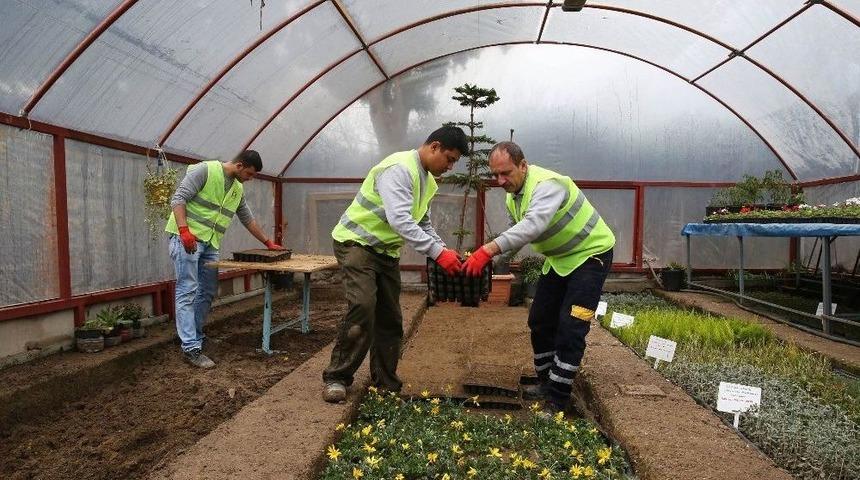 Buca Yeşil Dokusunu Kendi &Uuml;retiyor