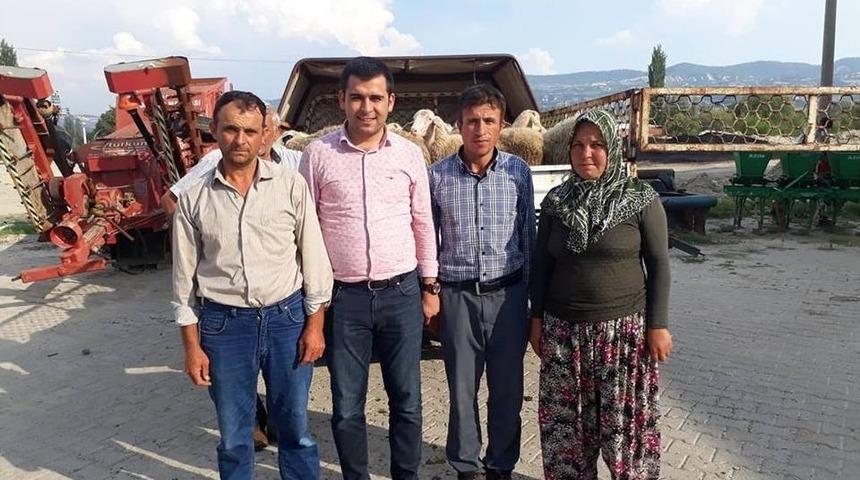 Selendili Gen&ccedil; &Ccedil;ift&ccedil;ilere K&uuml;&ccedil;&uuml;kbaş Hayvan Desteği