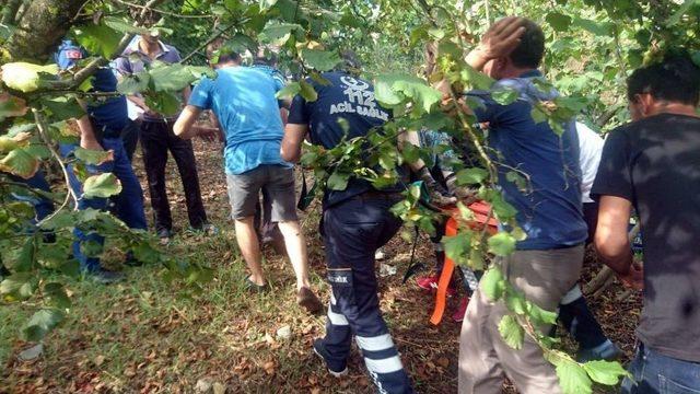 Alaplı’da Tarım Aracı Devrildi: 3 Yaralı