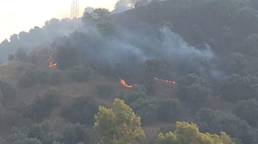 Nazilli&rsquo;de Arazi Yangını 1.5 Hektar Alan Cayır Cayır Yandı