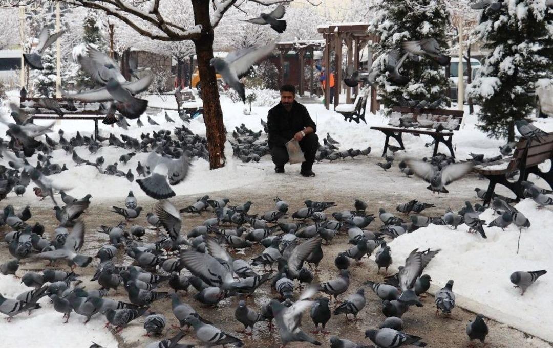 Van&rsquo;da Kar Yağışı