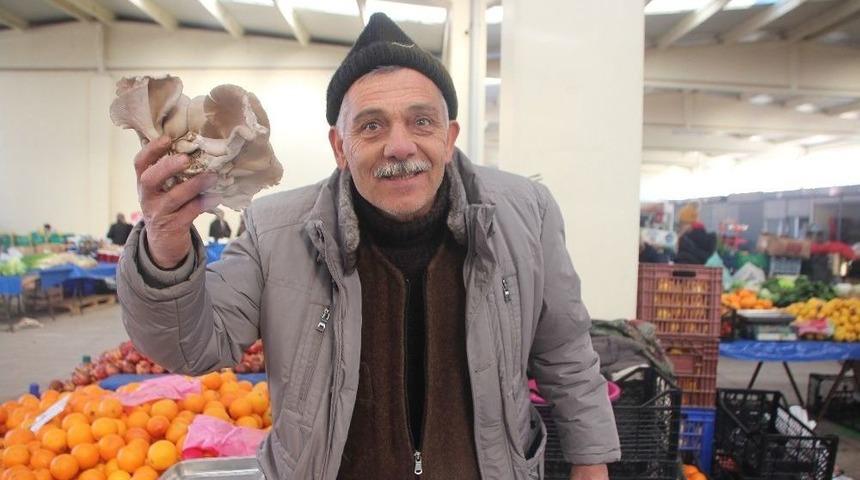 Mantar Pazar Tezgahlarında Yerini Koruyor