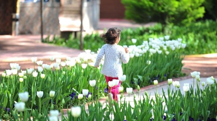 Kepez&rsquo;de Yeşil Alan Rekoru
