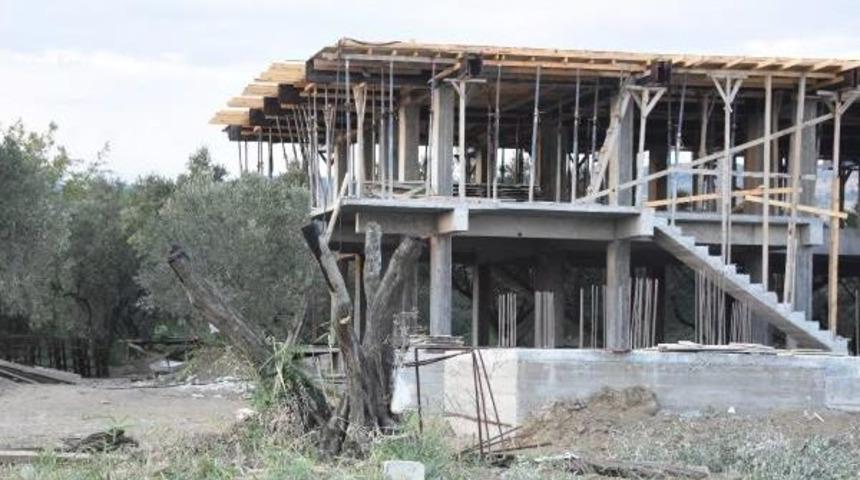 Şark&ouml;y'de Kesilen Zeytin Ağa&ccedil;larının Yerine Siteler Y&uuml;kseliyor