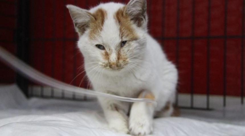 Soğuk Havalar Onlar İ&ccedil;in &Ouml;l&uuml;m Ayları