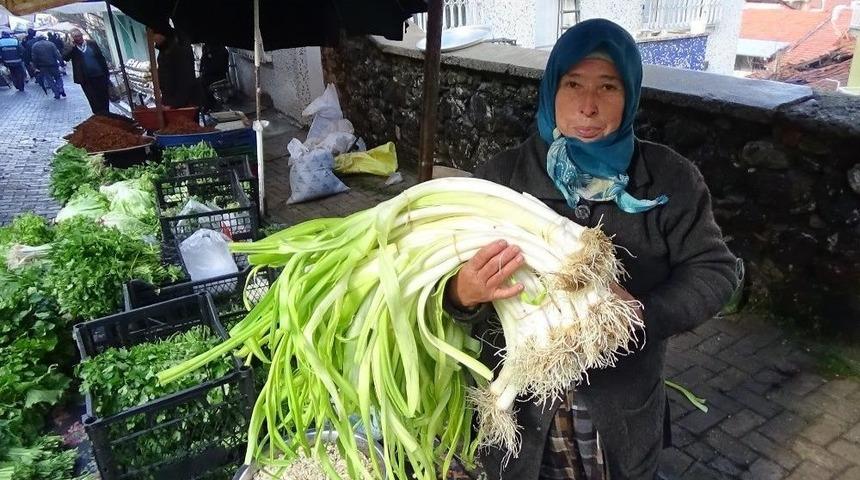 Meşhur &Ouml;renli Pırasası Tezgahlardaki Yerini Aldı