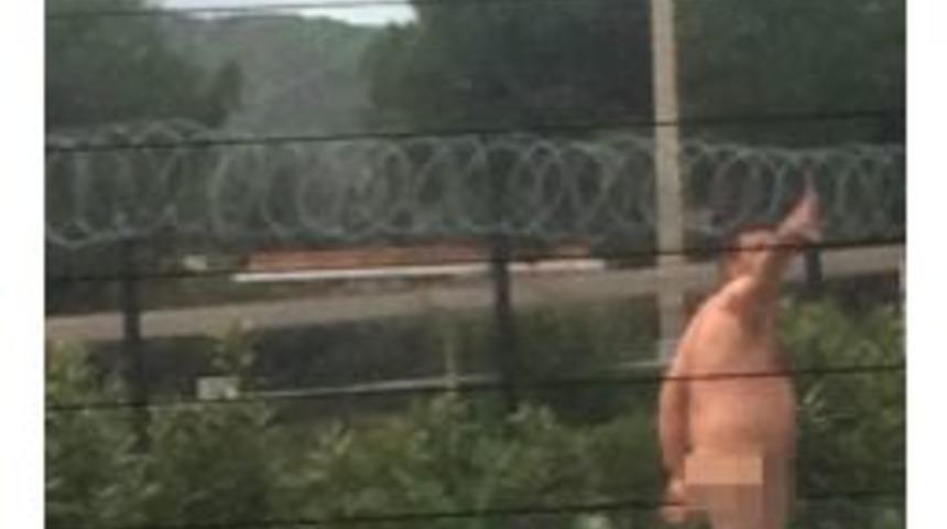 Bodrum&rsquo;da Şaşırtan G&ouml;r&uuml;nt&uuml;