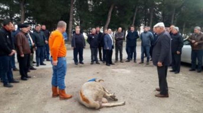 Taşıyıcılarda Yeni Dönem