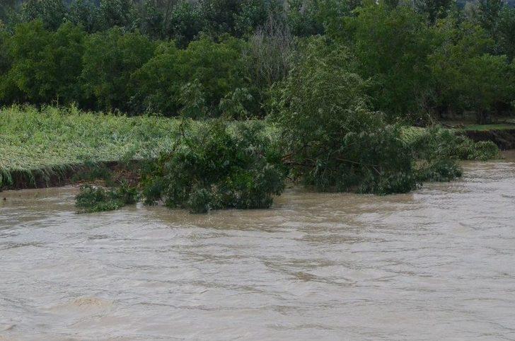 Ordu’nun Derelerini Yıktı Geçti G2