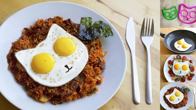 Kedi Mi Yumurtadan Çıkar, Yumurta Mı Kediden?