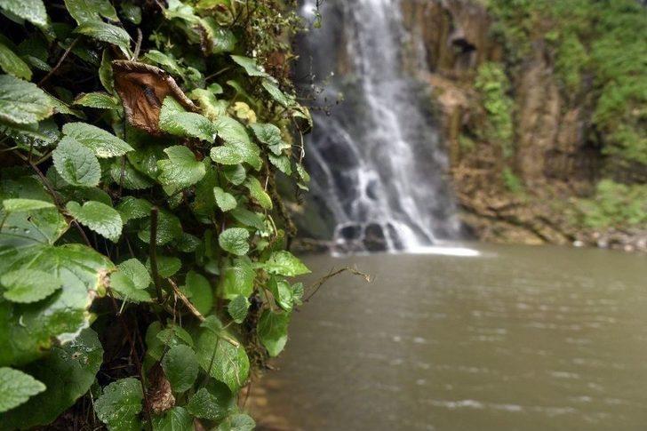 Çağlayandibi Şelalesi İlgi Çekiyor G4