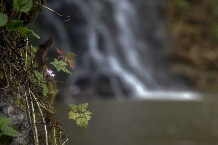 Çağlayandibi Şelalesi İlgi Çekiyor G5