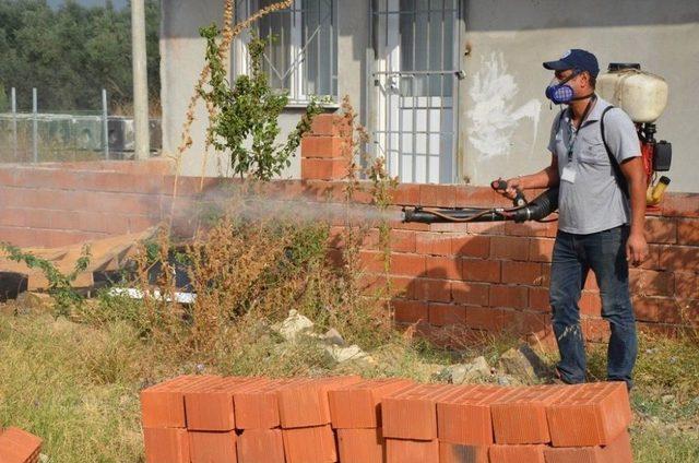 İznik&rsquo;te Haşereyle M&uuml;cadele 1