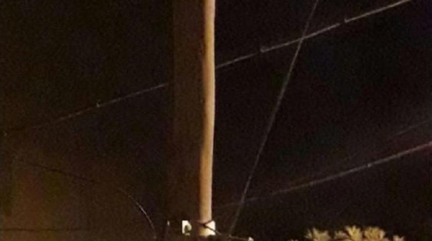 Telefon Direğinin Tepesindeki Kedi Itfaiye Aracı Gelince Yere Atladı