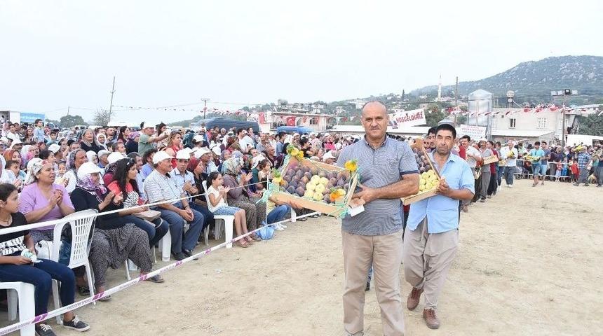 Tarsus İncir&rsquo;i Ş&ouml;lenle Tanıtılacak